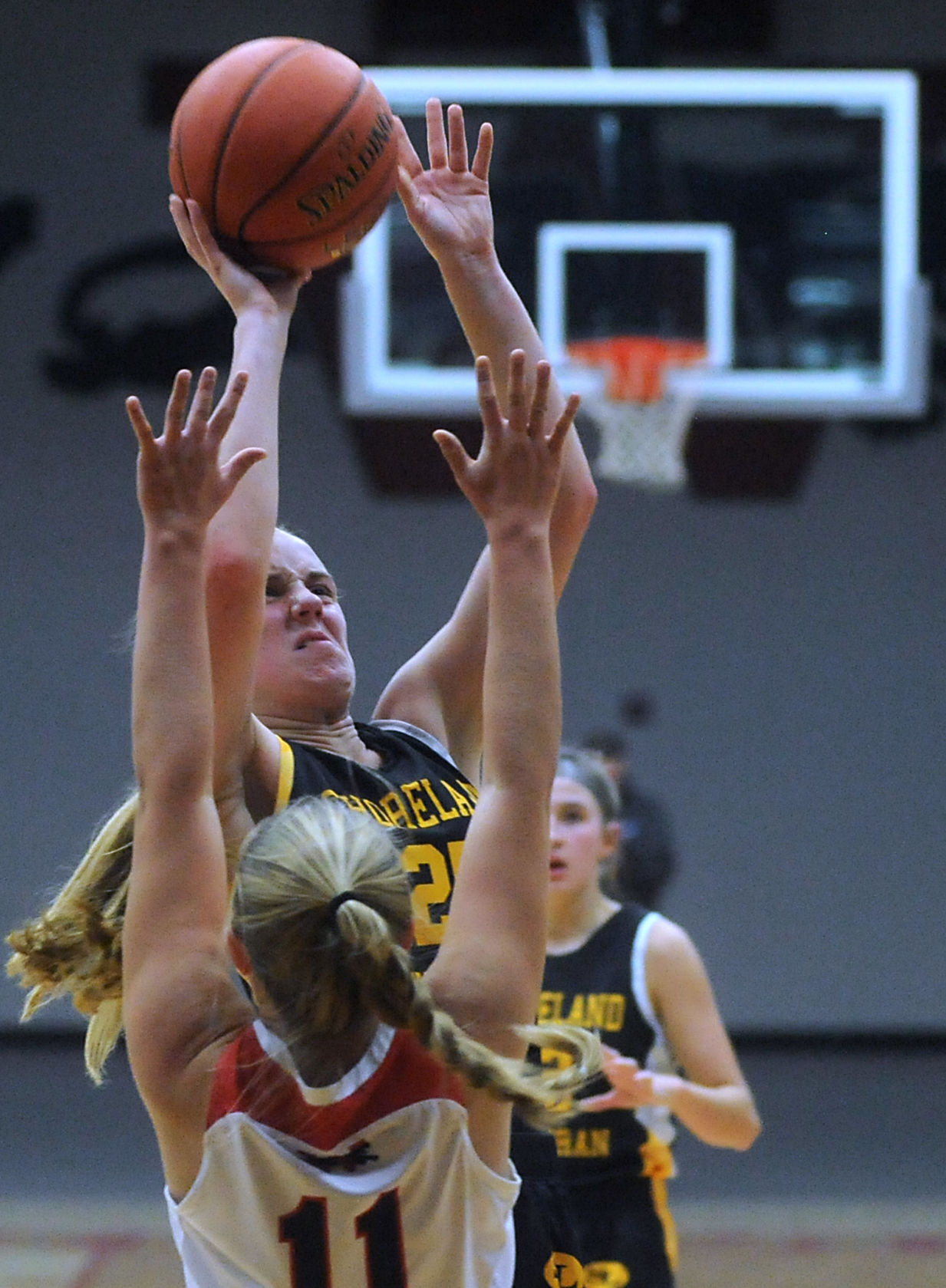 11192021-KN-GBBALL-SL-WILMOT-GSP